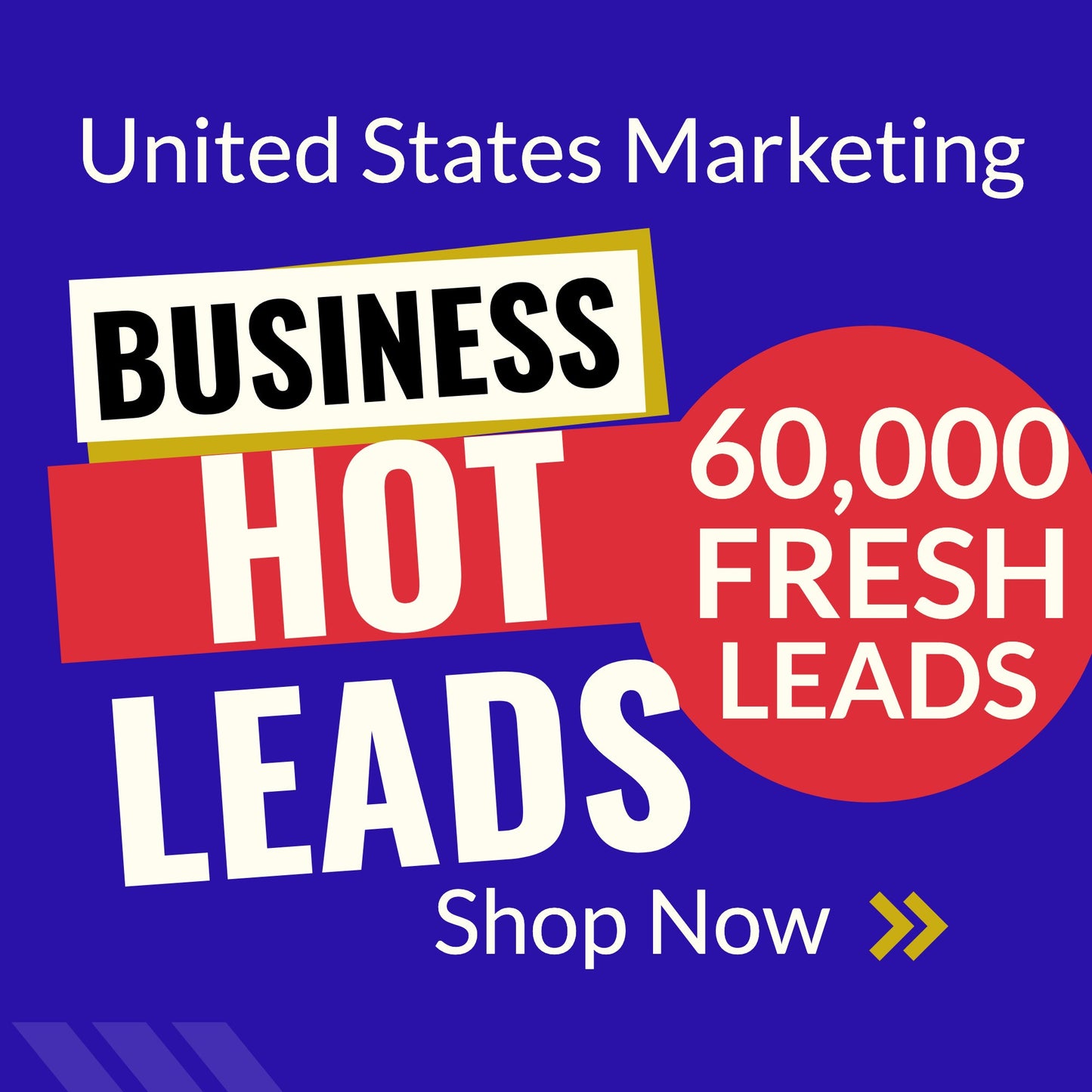 55,000 LEADS - FRESH, ACTIVE & VERIFIED MONEY MAKING BUSINESS LEADS