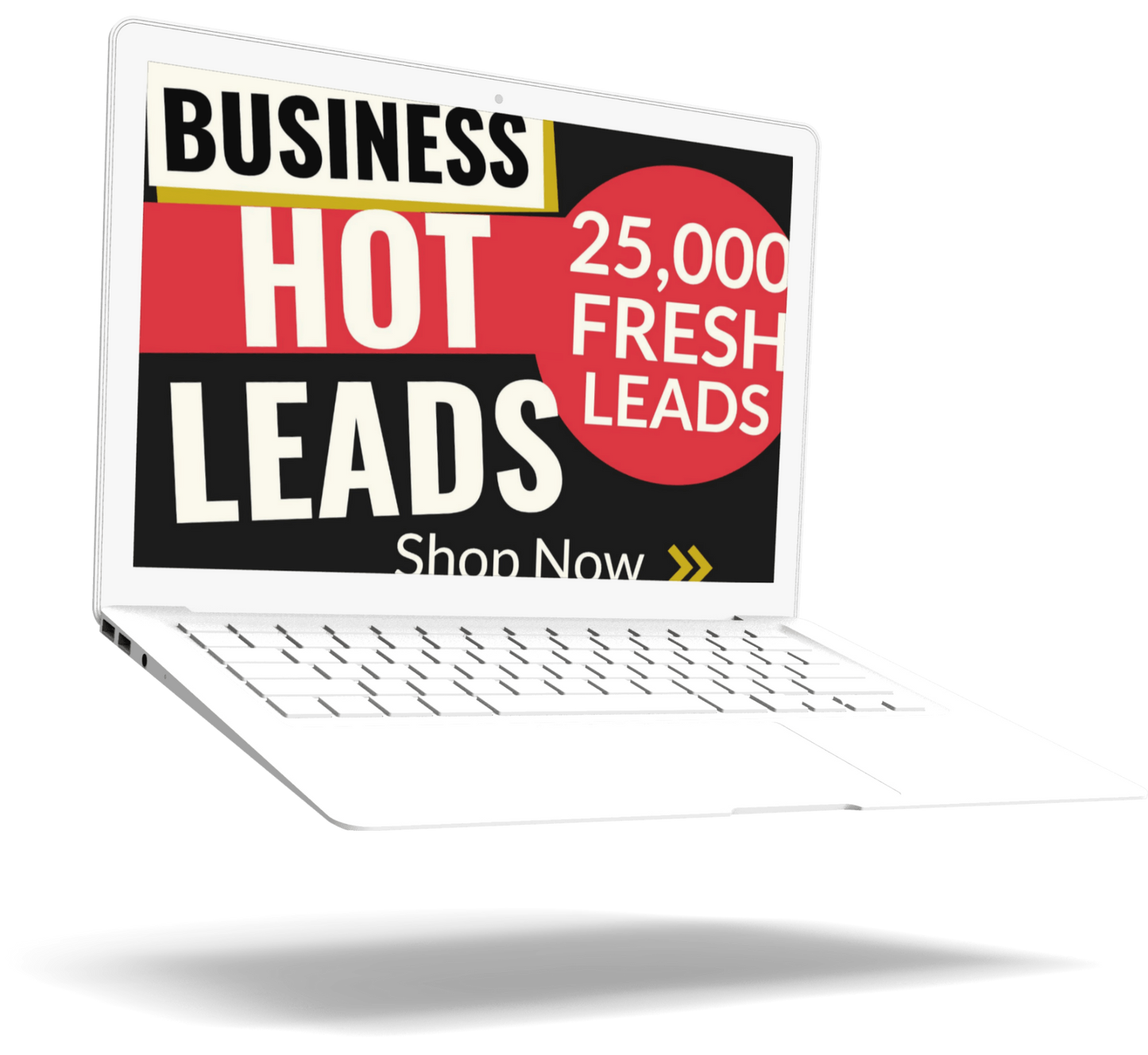 25,000 LEADS - FRESH, ACTIVE & VERIFIED MONEY MAKING BUSINESS LEADS